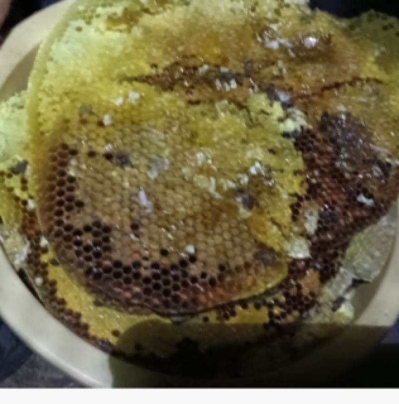 野生土蜂蜜