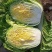 黄心大白菜