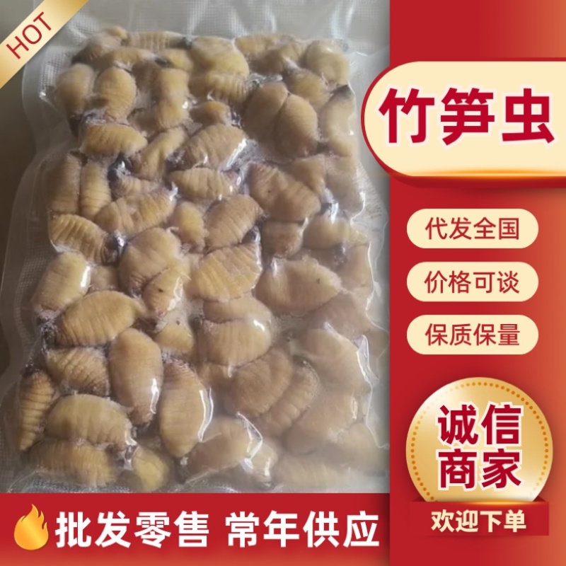 竹笋虫/河北承德产区直发/大量有货/欢迎选购/