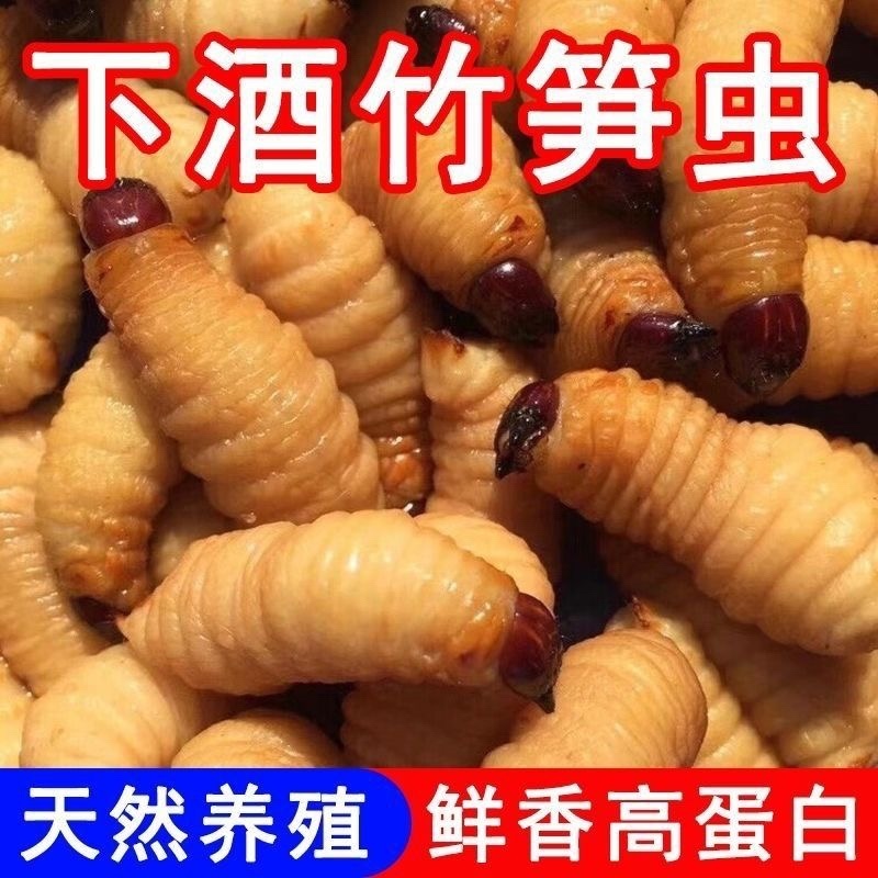 竹笋虫/河北承德产区直发/大量有货/欢迎选购/