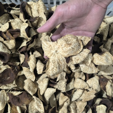 品质保证的正宗陈皮货源充足24小时全天候服务