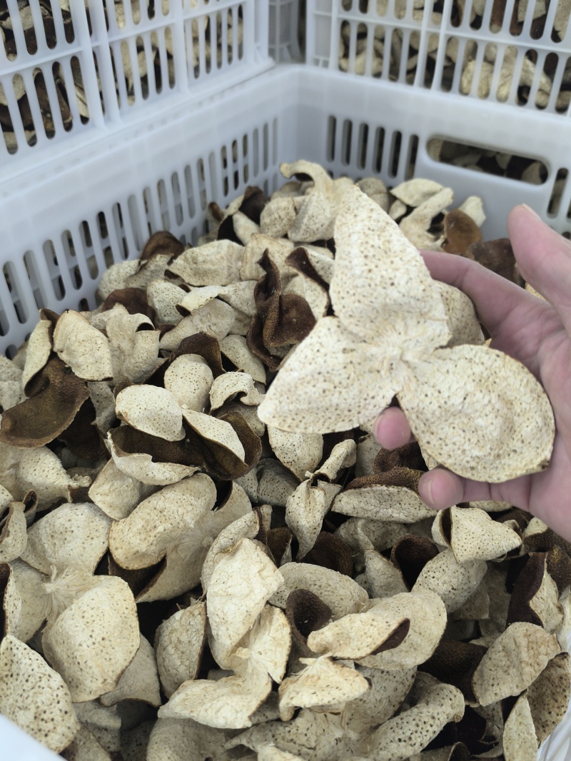 品质保证的正宗陈皮货源充足24小时全天候服务