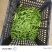 【推荐】海南白玉豆一手货源量大从优供应市场商超电商