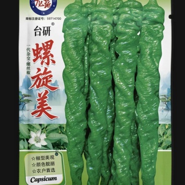 螺旋美螺丝辣椒种子中早熟香辣型味微辣南北方均可种植