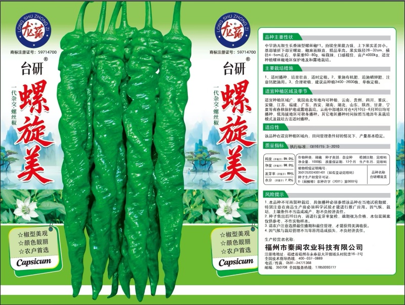 螺旋美螺丝辣椒种子中早熟香辣型味微辣南北方均可种植