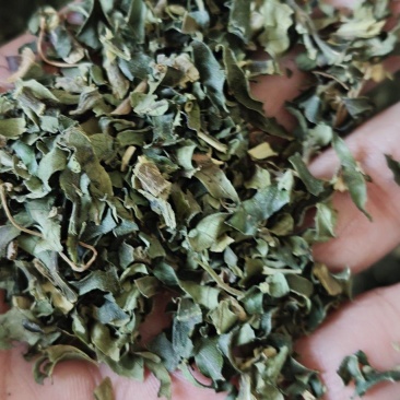 糯米香茶，统货，选货，鲜货，长期有货。
