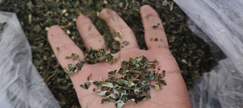 糯米香茶，统货，选货，鲜货，长期有货。