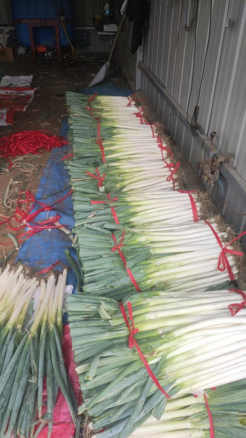 【平台力推】【产地直发】【量大从优】【视频看货】物美价廉