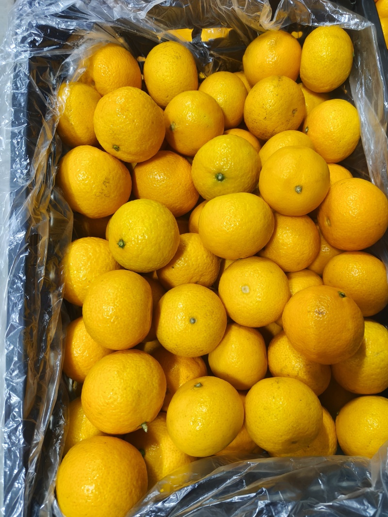 甜心柚大批量走货，通货，也可一件代发