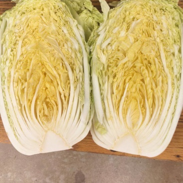 黄心白菜7斤以上毛菜，黄心，无苔，无烧心，全国代发
