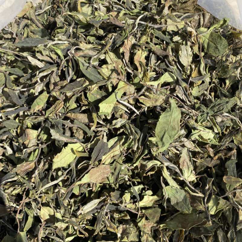25年春茶好货白茶茶农便宜出售啦普洱茶白茶云南临沧香气足