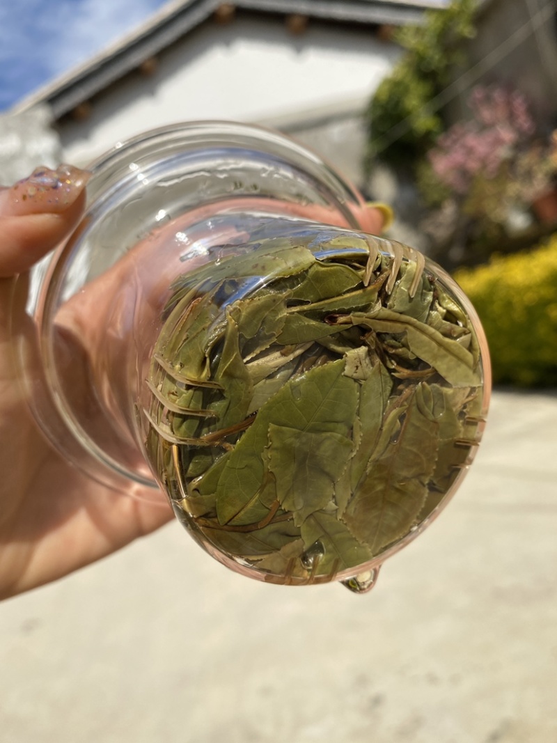 25年春茶好货白茶茶农便宜出售啦普洱茶白茶云南临沧香气足