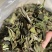 25年春茶好货白茶茶农便宜出售啦普洱茶白茶云南临沧香气足