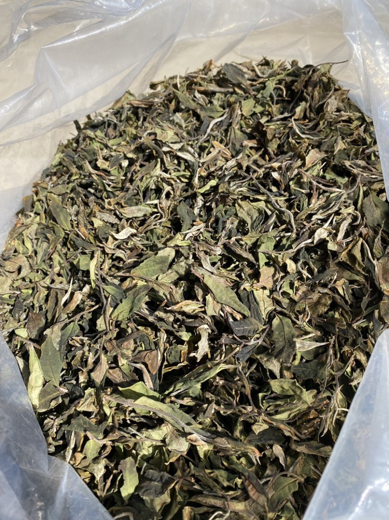 25年春茶好货白茶茶农便宜出售啦普洱茶白茶云南临沧香气足
