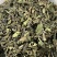 25年春茶好货白茶茶农便宜出售啦普洱茶白茶云南临沧香气足