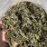 25年春茶好货白茶茶农便宜出售啦普洱茶白茶云南临沧香气足