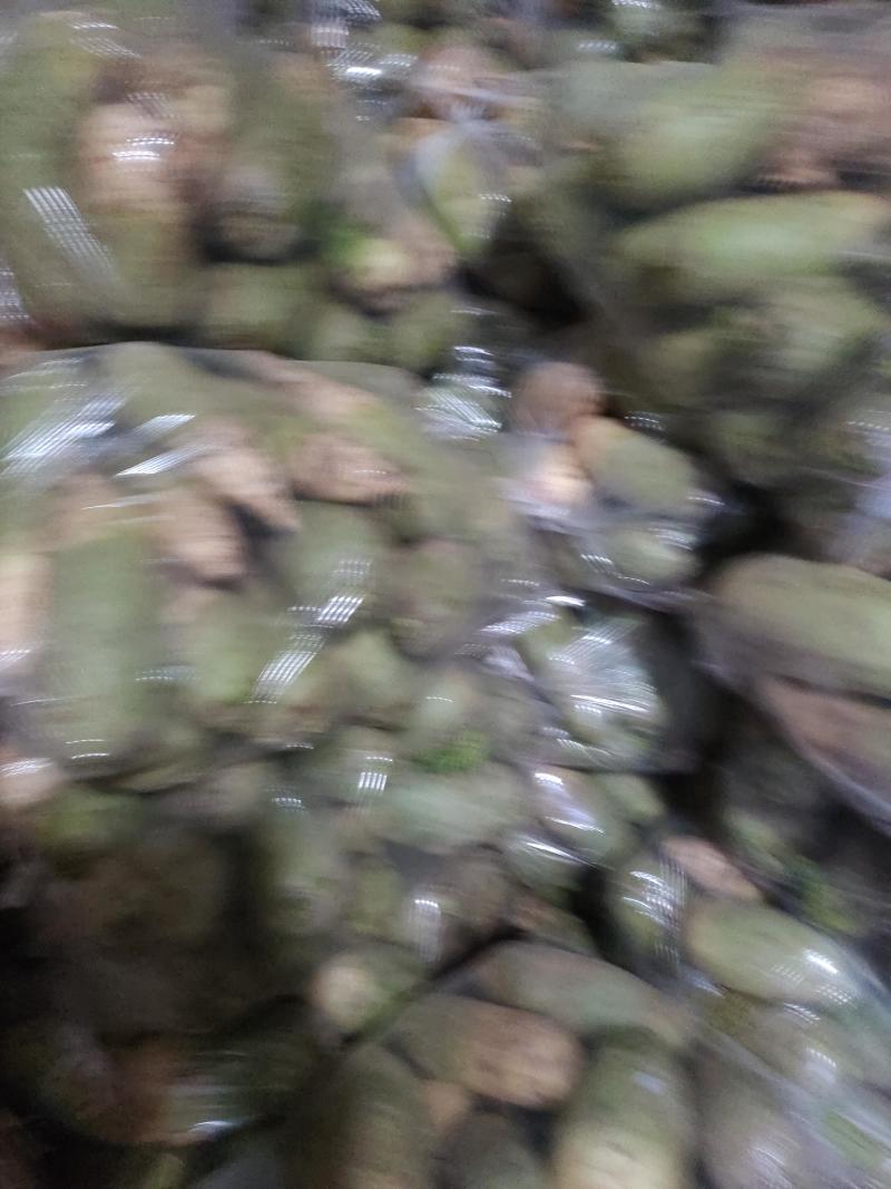 大量批发青萝卜