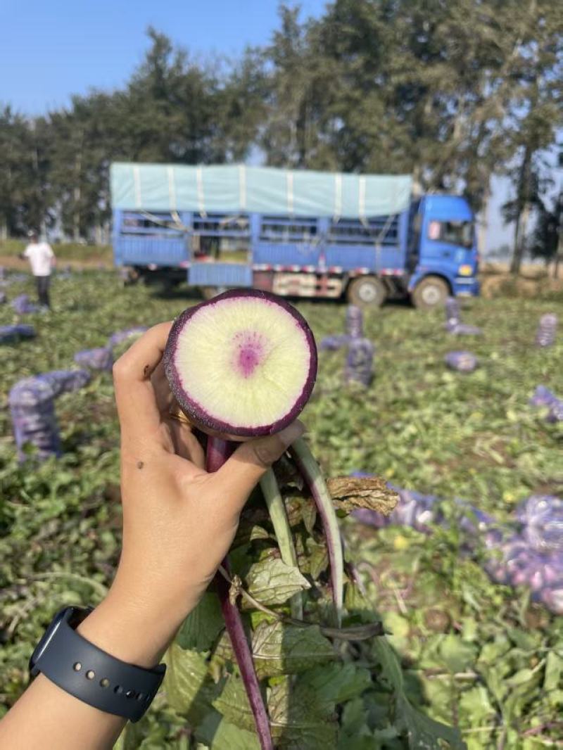 冰激淋水果萝卜