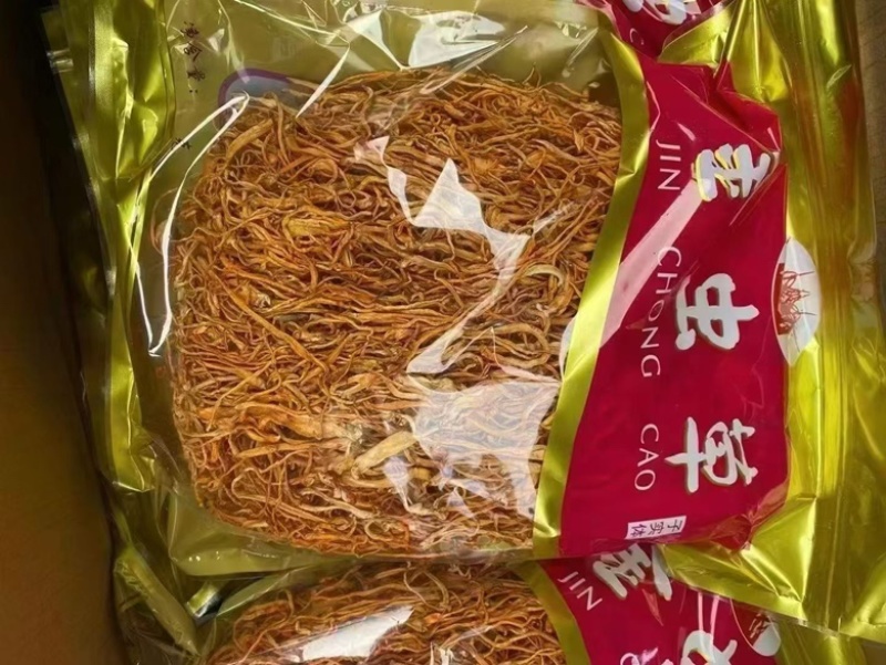 虫草花产地直