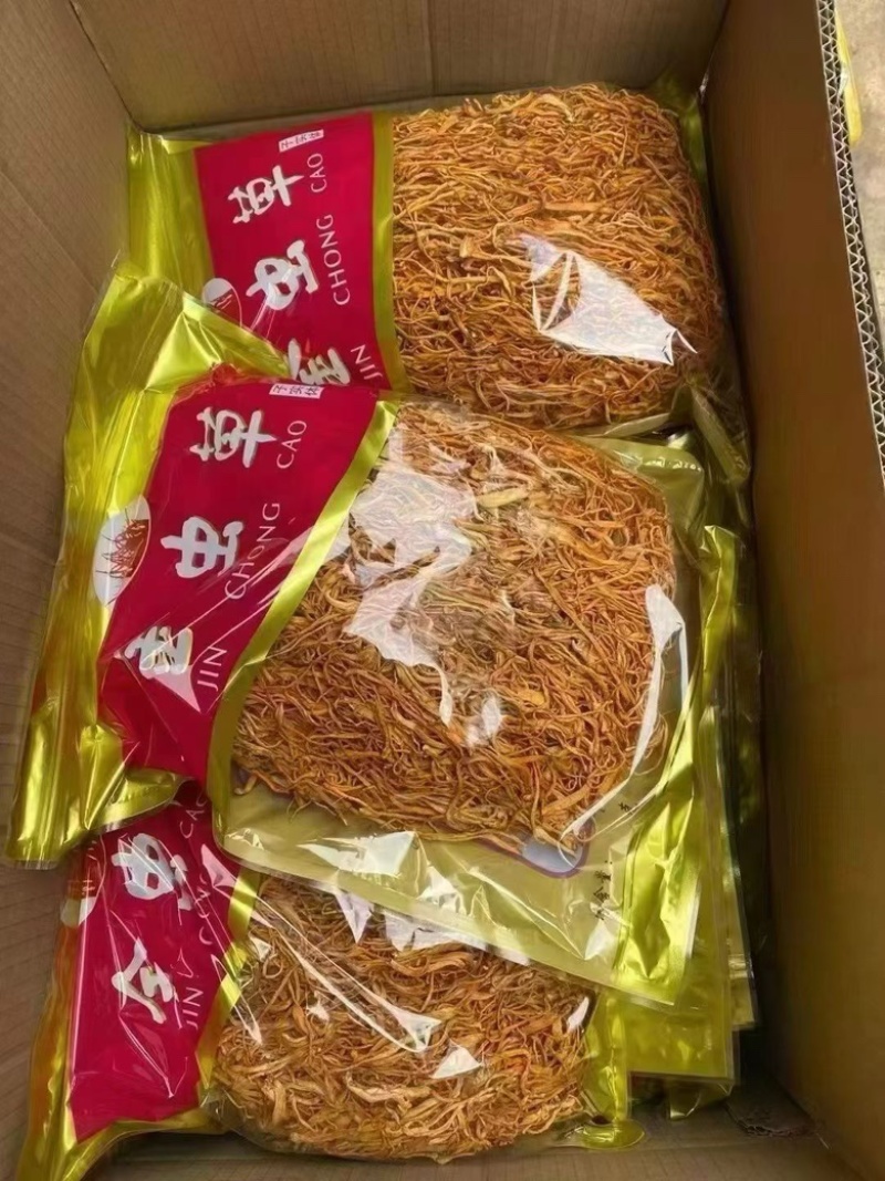 虫草花产地直