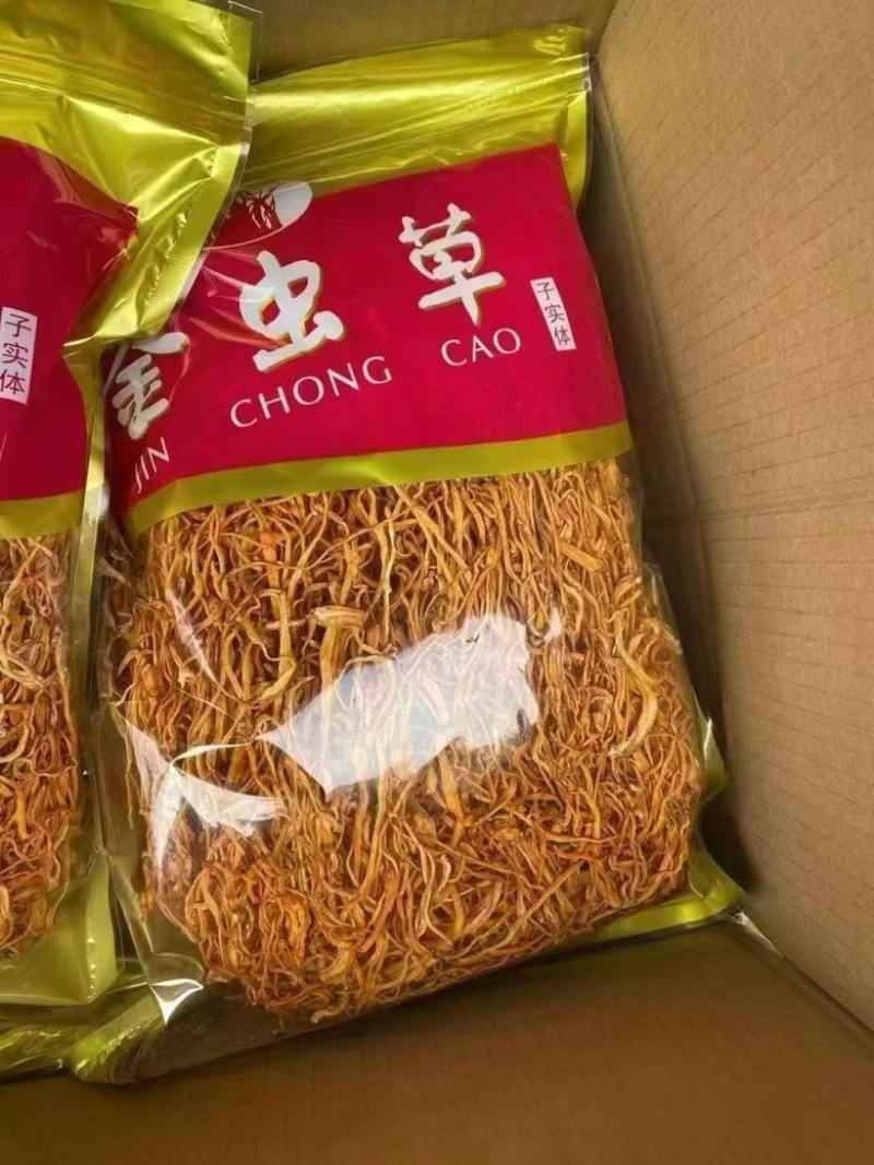 虫草花产地直