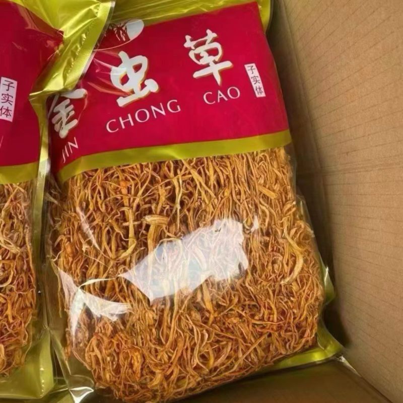 虫草花产地直