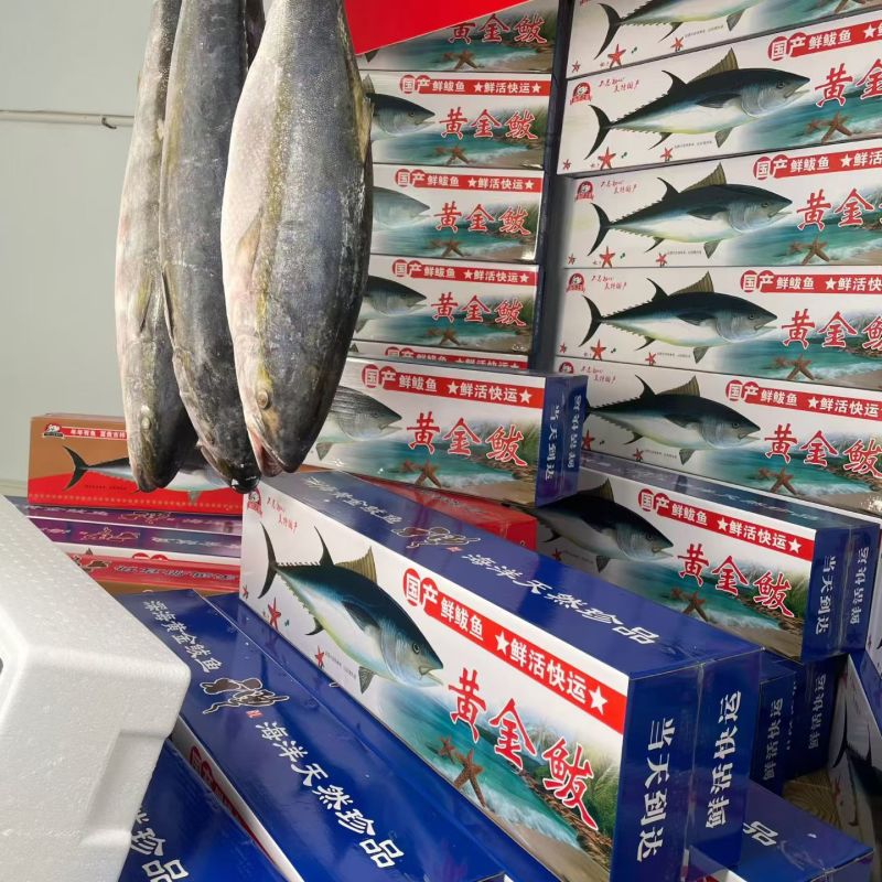 深海大鲅鱼，营养丰富，肉质鲜美。走亲访友首先。