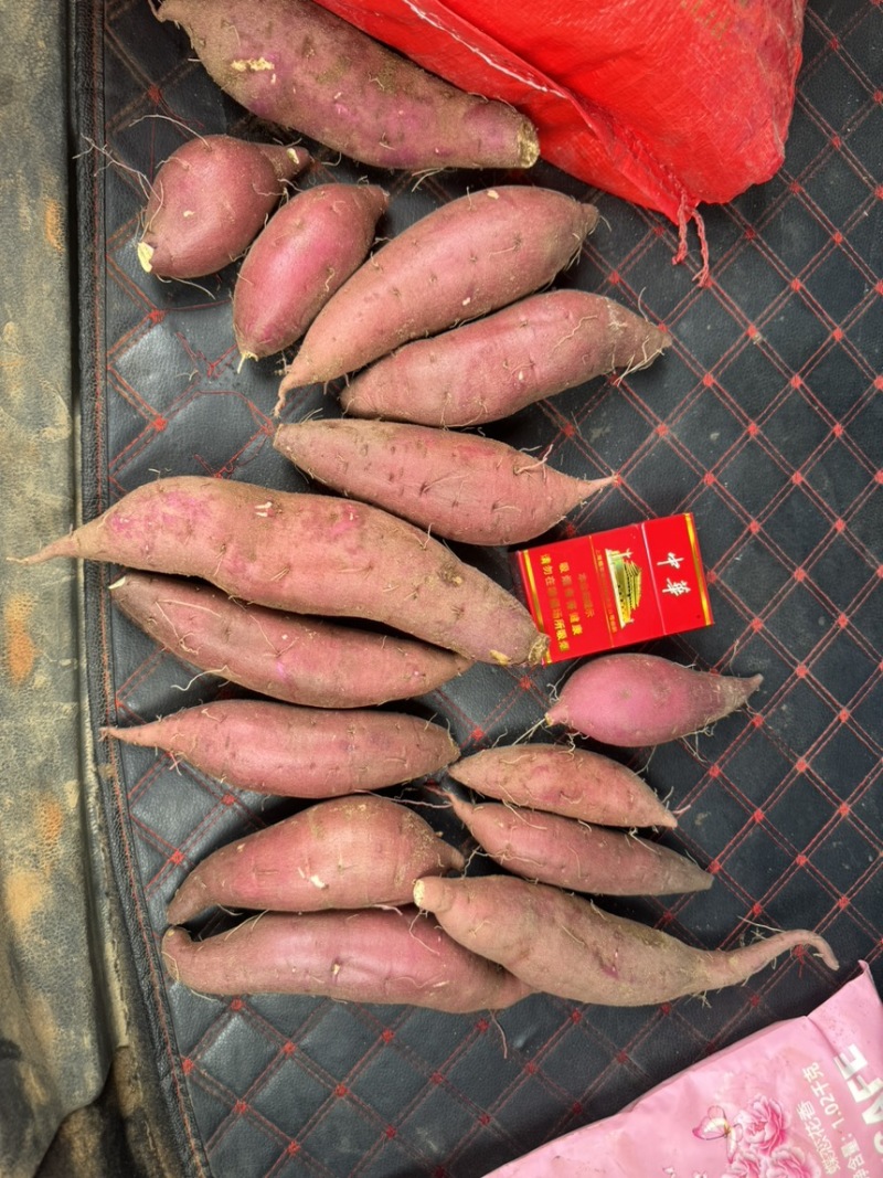 海南丝滑榴莲蜜薯