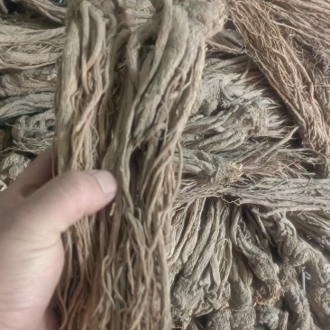甘肃岷县精品当归，产地直发，量大价优，可视频看货
