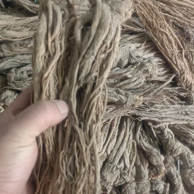 甘肃岷县精品当归，产地直发，量大价优，可视频看货