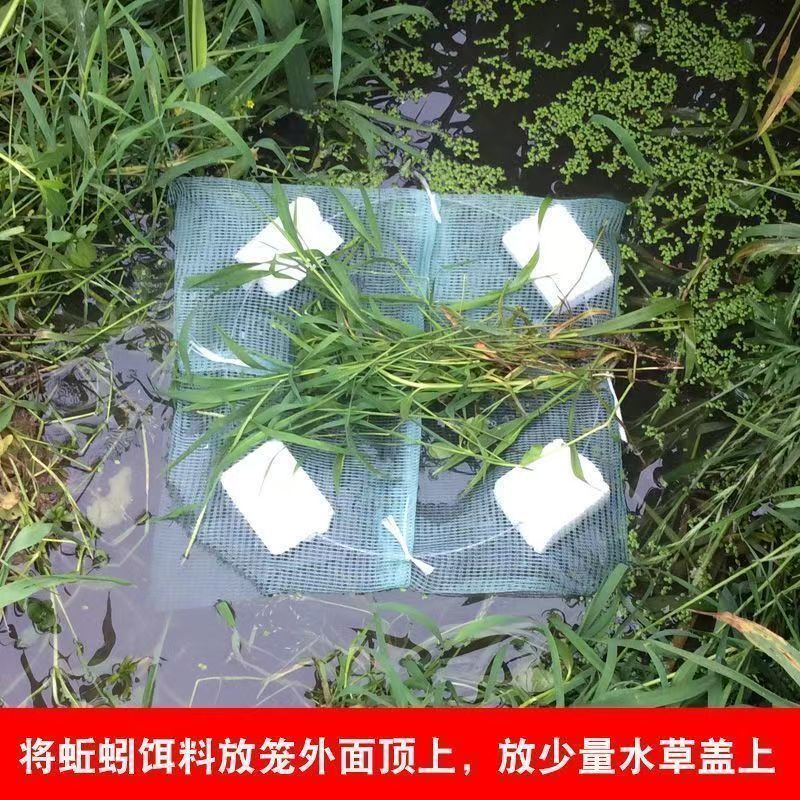 青黑蚯蚓.养殖基地直发，长年不断货，可视频看货。可供电商