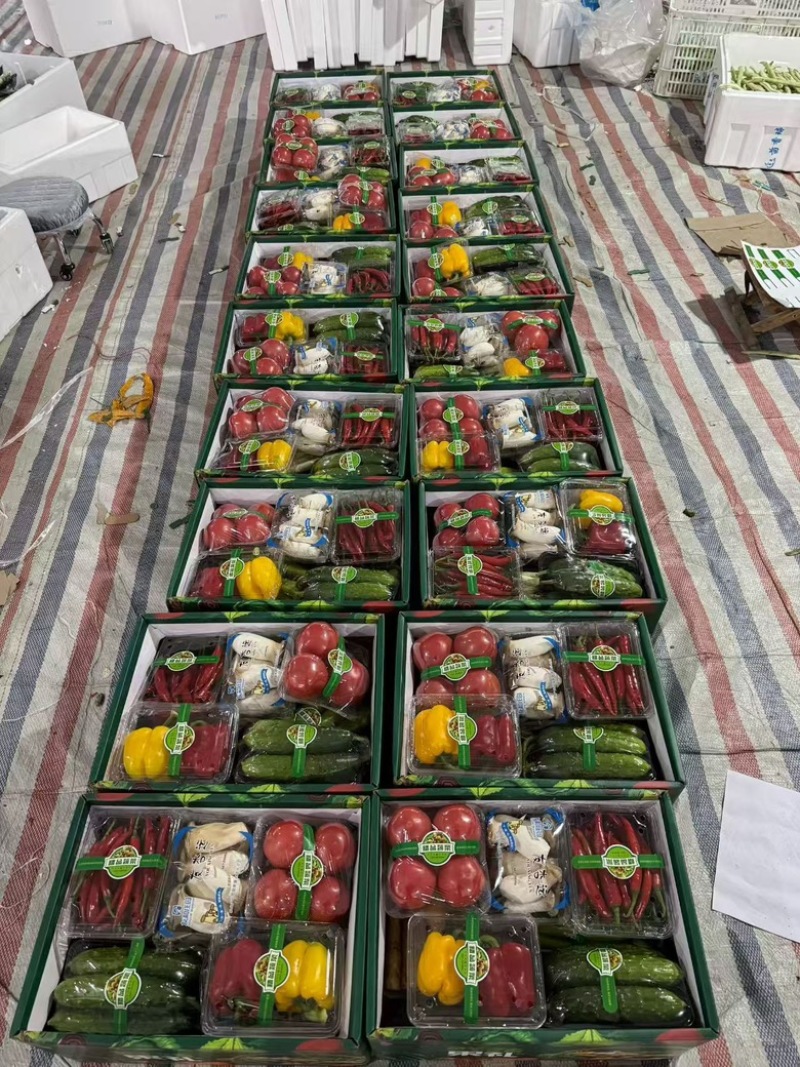 蔬菜礼包寿光套菜，精品套菜定制顺丰一件代发