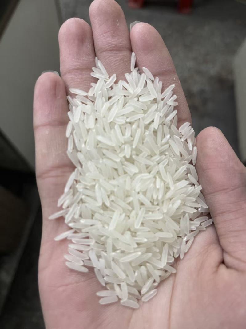 越南香米，质优价廉，厂家直销，货源稳定