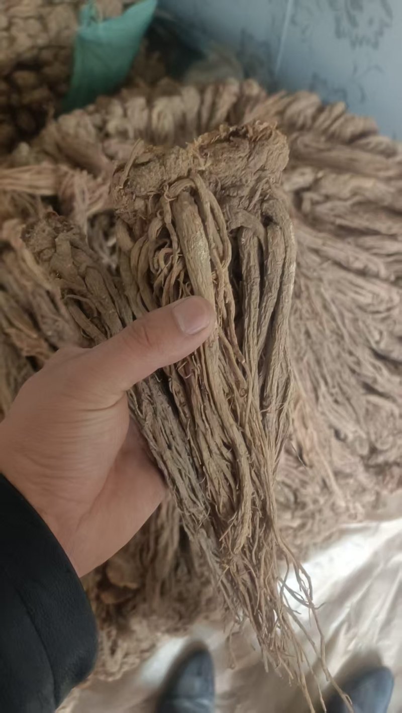 甘肃岷县精品当归，产地直发，量大价优，可视频看货
