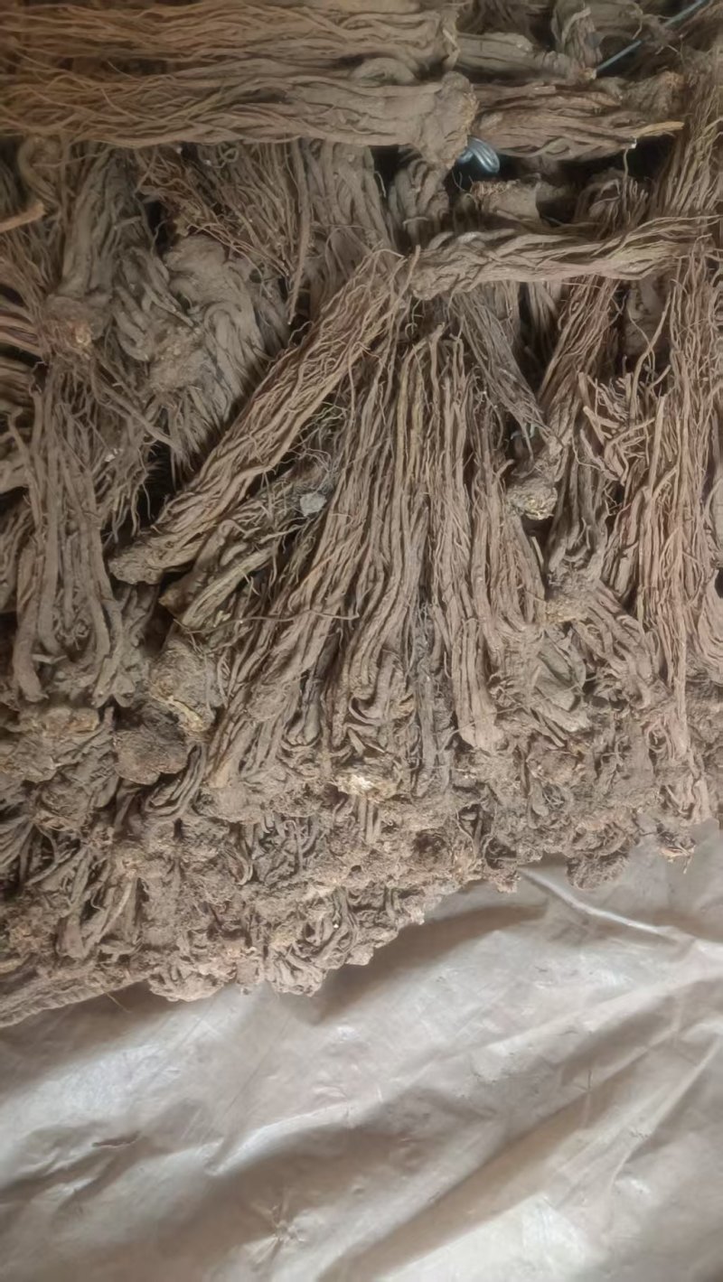 甘肃岷县精品当归，产地直发，量大价优，可视频看货