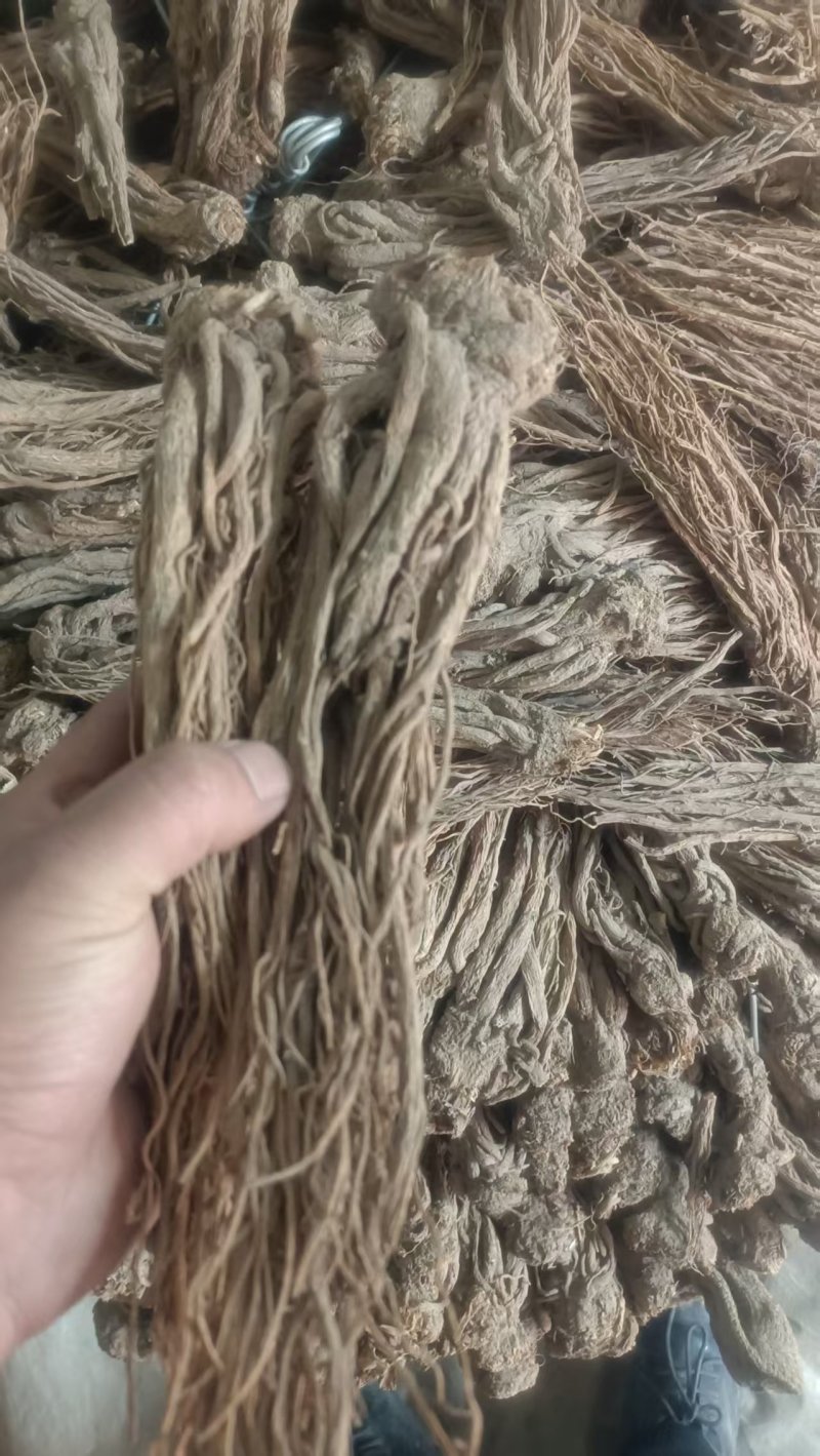 甘肃岷县精品当归，产地直发，量大价优，可视频看货