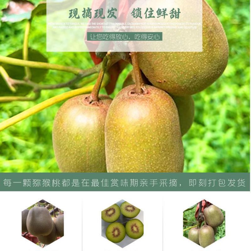 苍溪红心猕猴桃，产地直发，全国发货，欢迎进店沟通