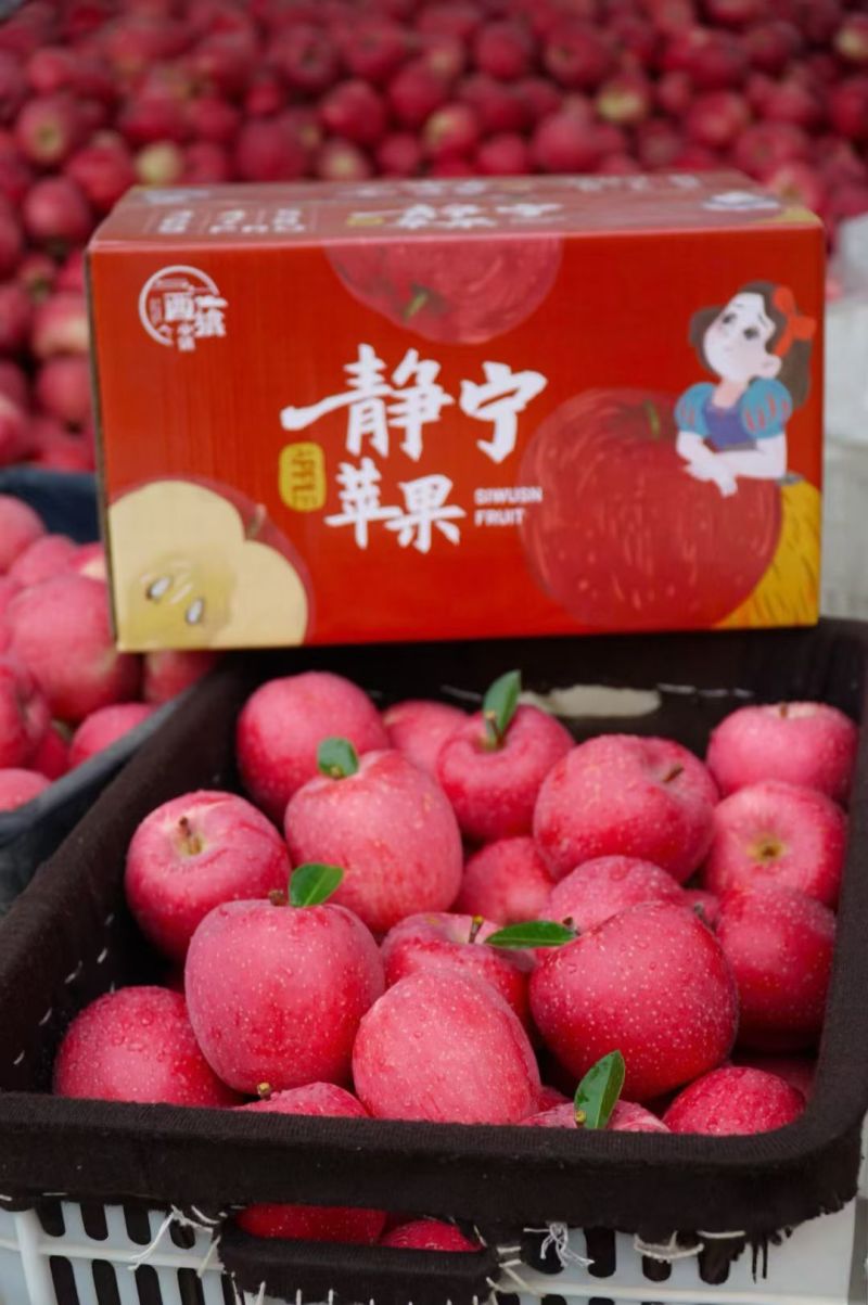 甘肃省静宁县林源果品有限公司
