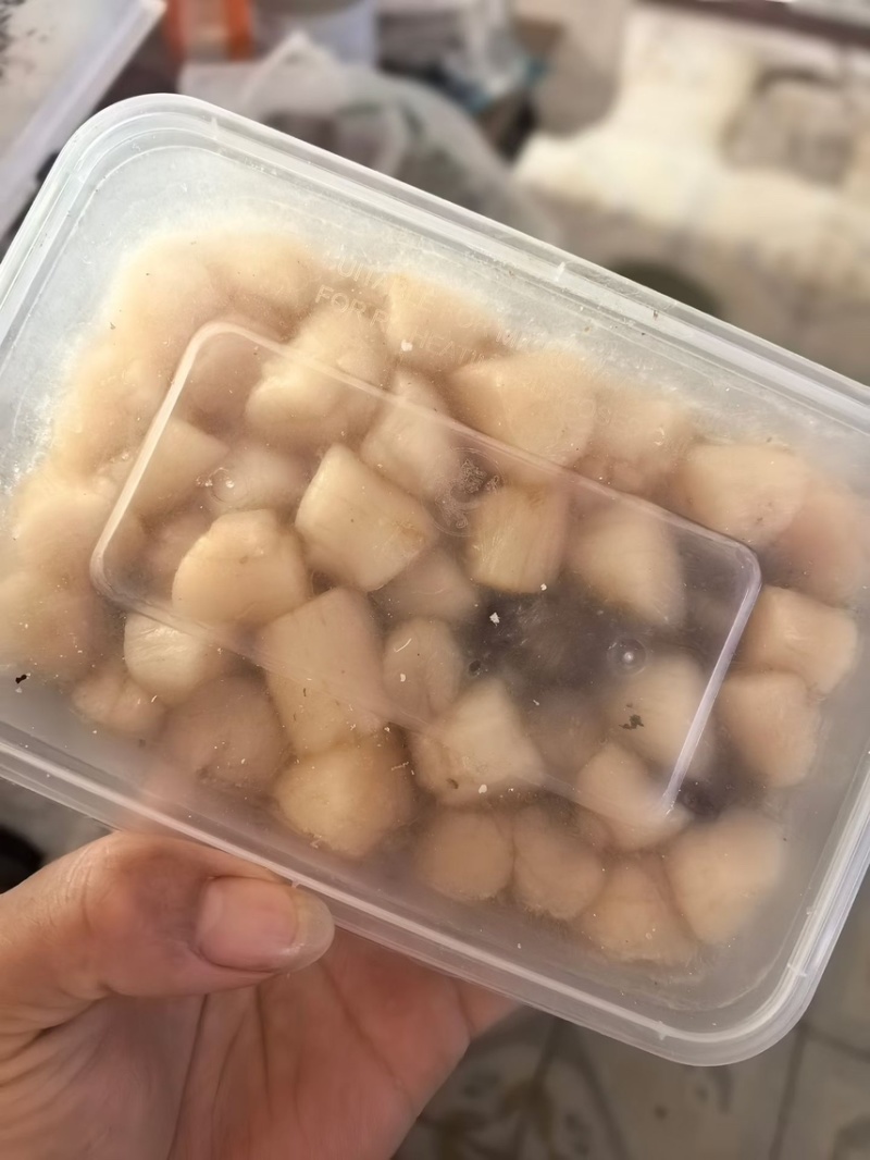 原浆不泡水扇贝柱自己家加工的