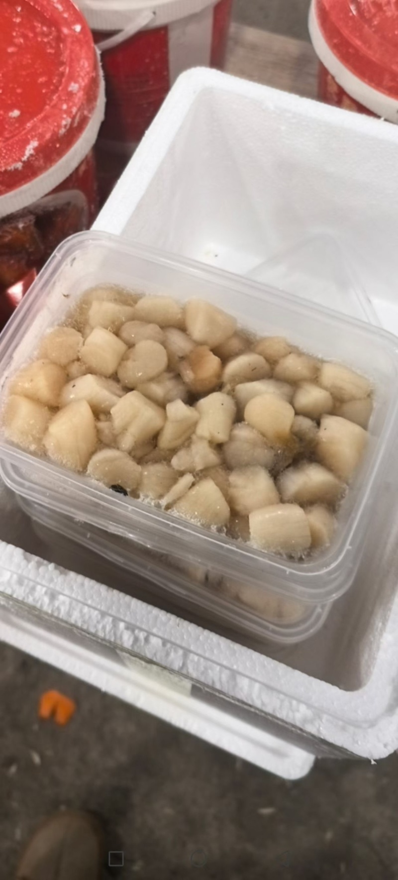原浆不泡水扇贝柱自己家加工的
