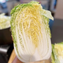 【黄心白菜】南阳白菜/河南黄心白菜/精选好货价格便宜