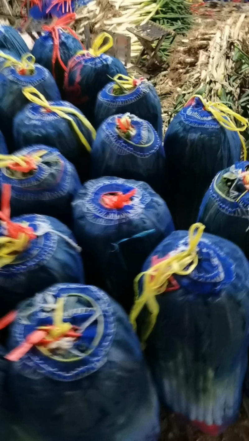 山东精品铁杆大葱，场地新鲜精装发货，葱白35CM以上