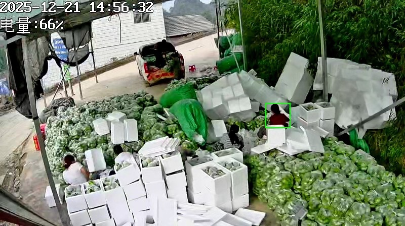 精品佛手瓜