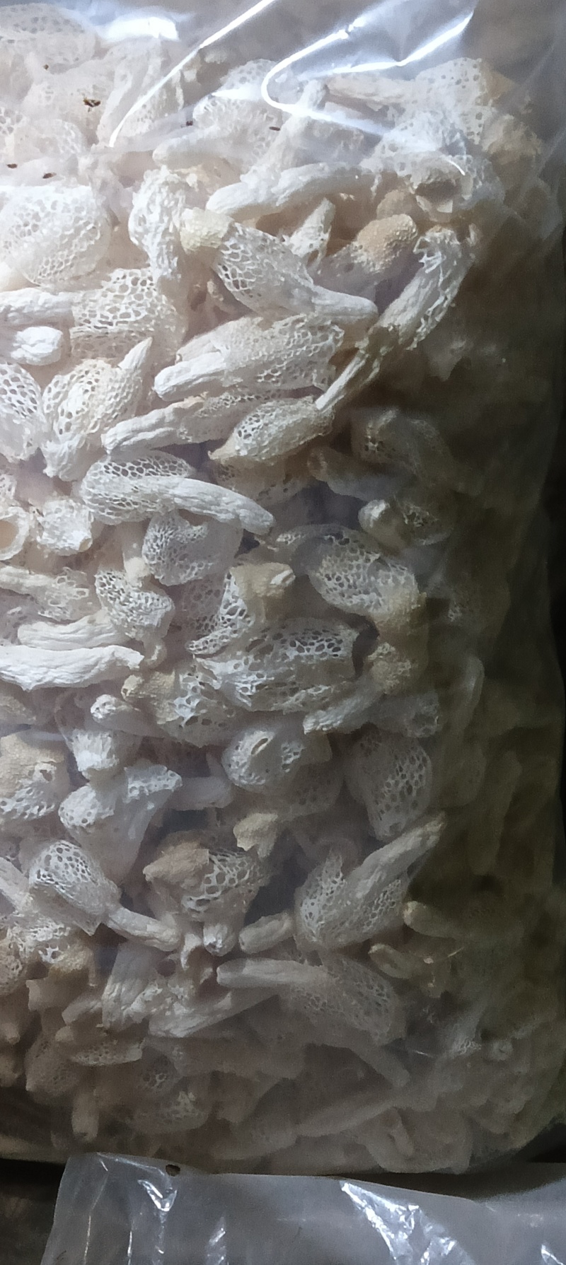 红托竹荪干货