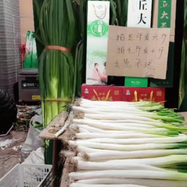 章丘大葱
