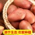 云南精品土豆大量上市规格齐全品质保障欢迎咨询