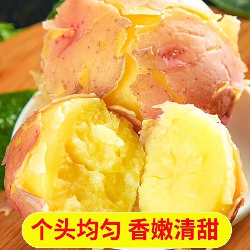 云南精品土豆大量上市规格齐全品质保障欢迎咨询