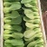 【推荐】曹县上海青/油菜精品叶菜，热门产区源头，欢迎来电