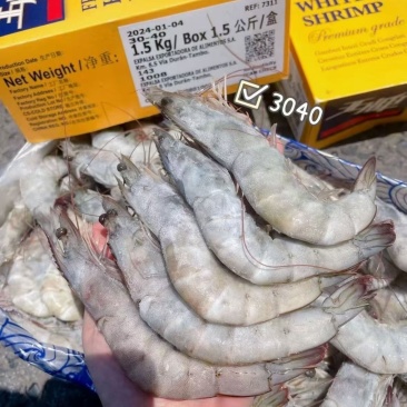 厄瓜多尔大虾