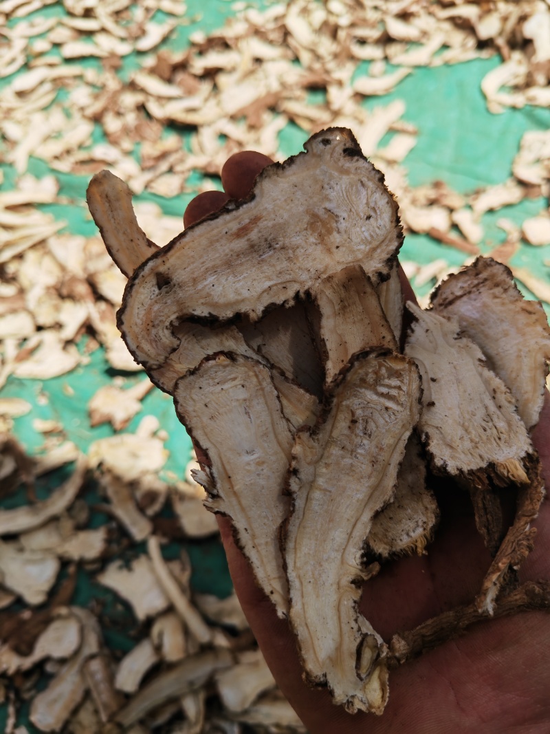 当归头片无硫当归头片甘肃岷县当归头切片产地直销
